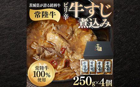 牛すじ煮込み 1.5kg 250g×6個 ピリ辛 茨城県産 ブランド牛 常陸牛 使用 523