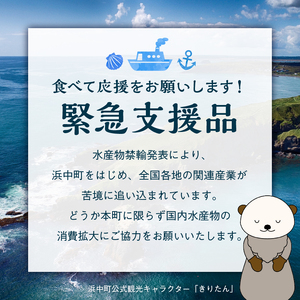 【緊急支援品】北海道産 ほたて貝柱(中)　計600g_H0001-046