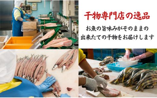 マルカ印 君ヶ浜セット 釣り金目開き さんま開き さば干物 あじ開き 一夜干しいか 干物セット 干物詰め合わせ 詰合せ 干物詰合せ 個包装 贈り物 ギフト プレゼント 贈答 冷凍 冷凍干物