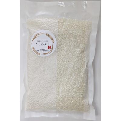 ふるさと納税 ひたちなか市 【特別栽培米】コシヒカリ　茨城県産　白米　600g　ギフトにおすすめ