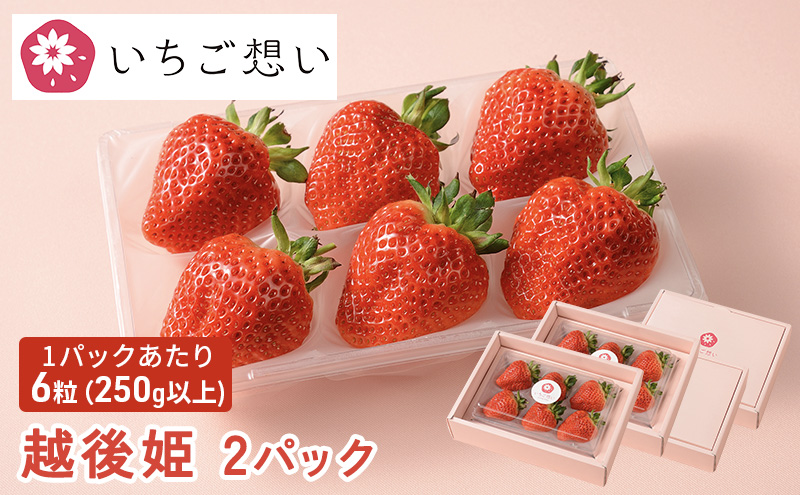 想いが伝わるいちご　越後姫 2パック 果物 フルーツ 食後 デザート 旬の果物 旬のフルーツ ストロベリー 国産 日本産 