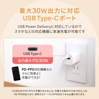 ふるさと納税 海老名市 (オウルテック) PD30W対応 USB C×1 USB A×1 AC充電器 ブラック |  | 03