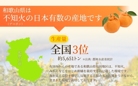 家庭用　不知火3kg+90g（傷み補償分）【デコポンと同品種】【わけあり・訳あり】【しらぬひみかん・しらぬい】【光センサー選別】【ikd053B】