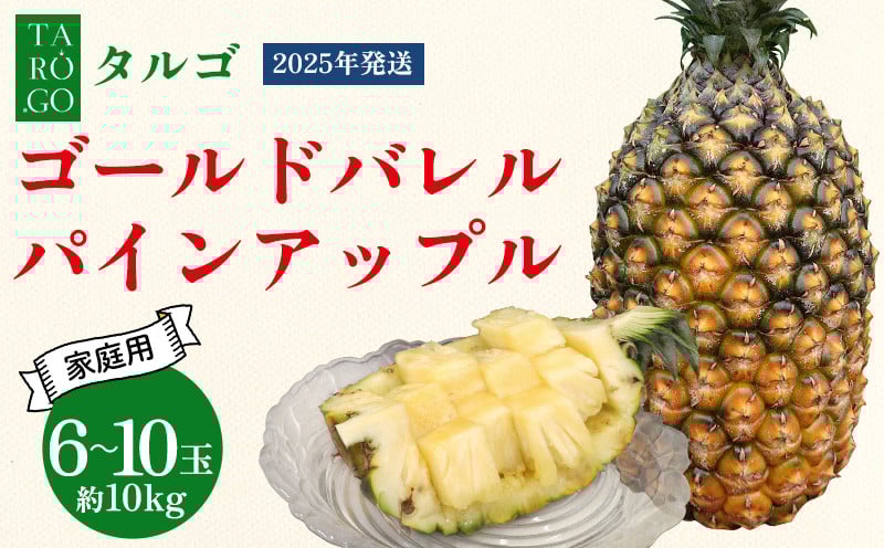 
            【規格外・家庭用】TARUGO　ゴールドバレルパイン　約10kg（6～10玉）2025年発送 家庭用 パイン パインアップル パイナップル タルゴ タルゴゴールド ゴールドバレル 葉ナシ ご自宅用 訳あり 国産パイン 規格外 生産者応援 農家応援 高級フルーツ 大玉 国産 やんばる 沖縄 東村
          