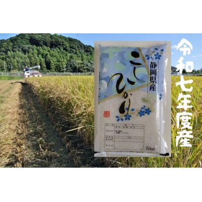 【毎月定期便】静岡こしひかり(精米)5kg×1袋全12回【4076145】