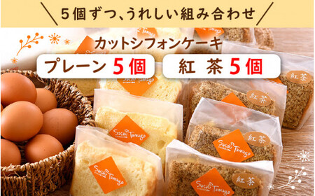 [037-a010] カットシフォンケーキ 10個セット（プレーン5個 、紅茶5個）