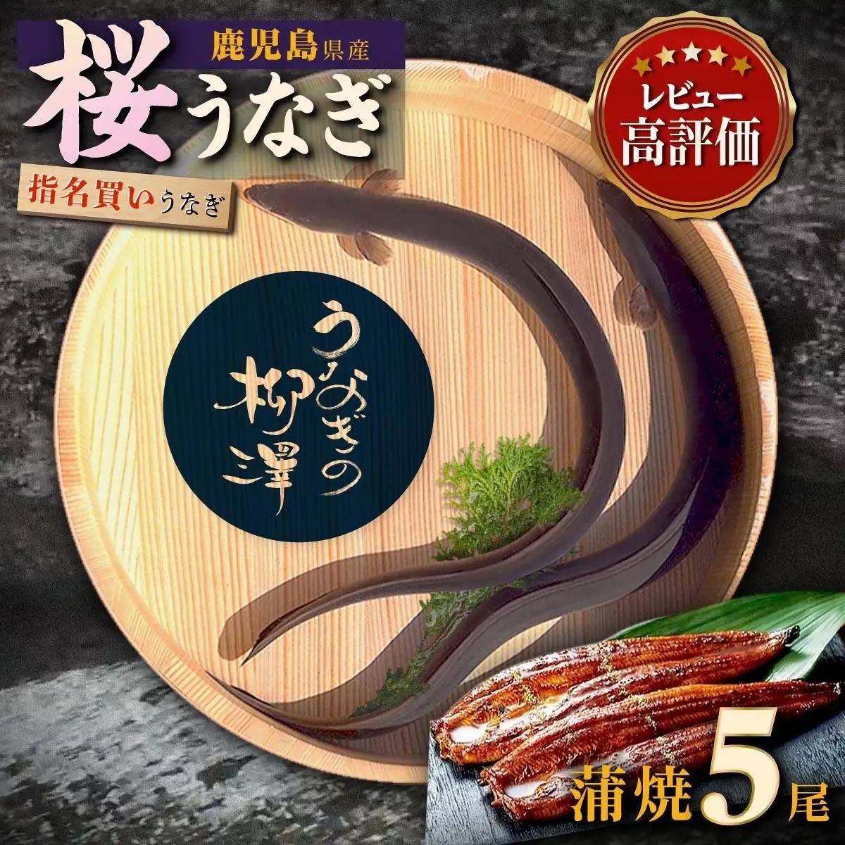 うなぎ の柳澤 うなぎ 蒲焼5尾（計850g）