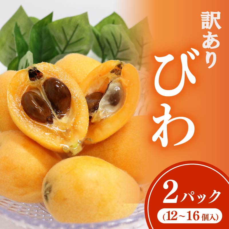 【ふるさと納税】 黒耳びわ 12〜16玉　大粒　＜果物 ビワ 送料無料＞ 春 旬　rk038