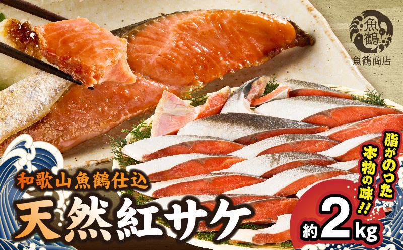 G7318_リピーター続出！ 高評価 魚鶴 仕込 天然紅 鮭 サケ 切身 約2kg サケ切身 紅鮭 和歌山 湯浅町 小分け 真空パック 梅酒 真昆布 使用 だし まろやか 天然 鮭 魚 海の幸 海鮮 魚介 食品 食べ物 おかず お弁当 水産加工品 冷凍 グルメ お取り寄せ 和歌山県 湯浅町 送料無料