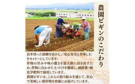 【令和7年 定期便】 昔ながらの魚沼産コシヒカリ 精米20kg(5キロ×4回) 従来品種 農園ビギン | おこめ 特A評価 小千谷市 コシヒカリ