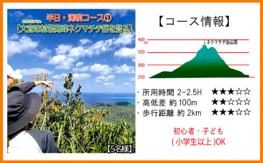 
沖縄県北部やんばる・大宜味村最高峰ネクマチヂ岳を登る【5名様】
