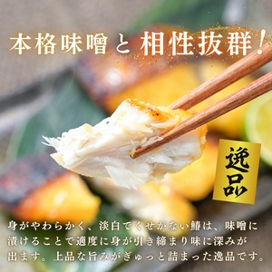 a10-1161　【2025年3月以降順次発送】さわら西京味噌漬け 約80g×9切れ