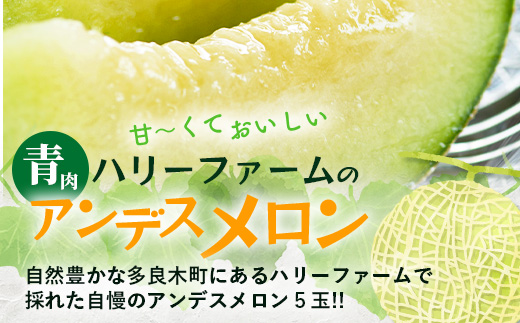 【2025年5月上旬～発送 先行予約】アンデスメロン 青肉 5玉 (合計 約4.5～5kg) 熊本県 多良木町産 果物 フルーツ メロン 先行予約 5個 青肉 ミツバチ交配 期間限定 数量限定 109