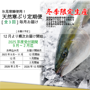 【3回定期便】冬の味覚氷見天然ぶり全部盛り ＜2025年12月以降順次発送＞  寒ぶり 限定 鰤 富山県 氷見市