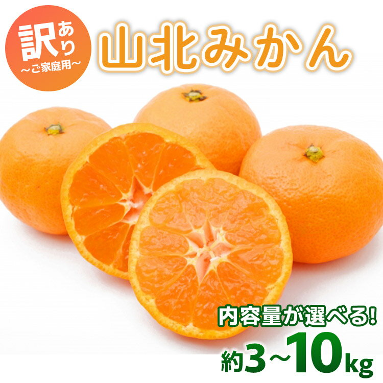 【ふるさと納税】【選べる内容量】訳あり 山北みかん ご家庭用 約3kg/約5kg/約10kg- 果物 フルーツ 柑橘類 温州みかん ミカン 蜜柑 訳アリ わけあり 生産者応援 甘い おいしい 美味しい 山北みらい 高知県 香南市【常温】 Ryk-0033