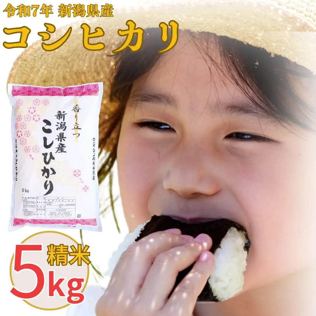 新潟県産 コシヒカリ 5kg （令和7年）【申込完了から1~2週間程度で発送】