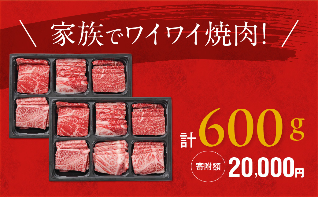 宮崎牛6種盛り肉箱焼肉食べ比べ600g_AC-N201