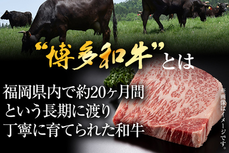 【ふるなび限定】【先行予約】【厳選部位】【A4～A5】博多和牛サーロインブロック 約1kg CP046er FN-Limited 