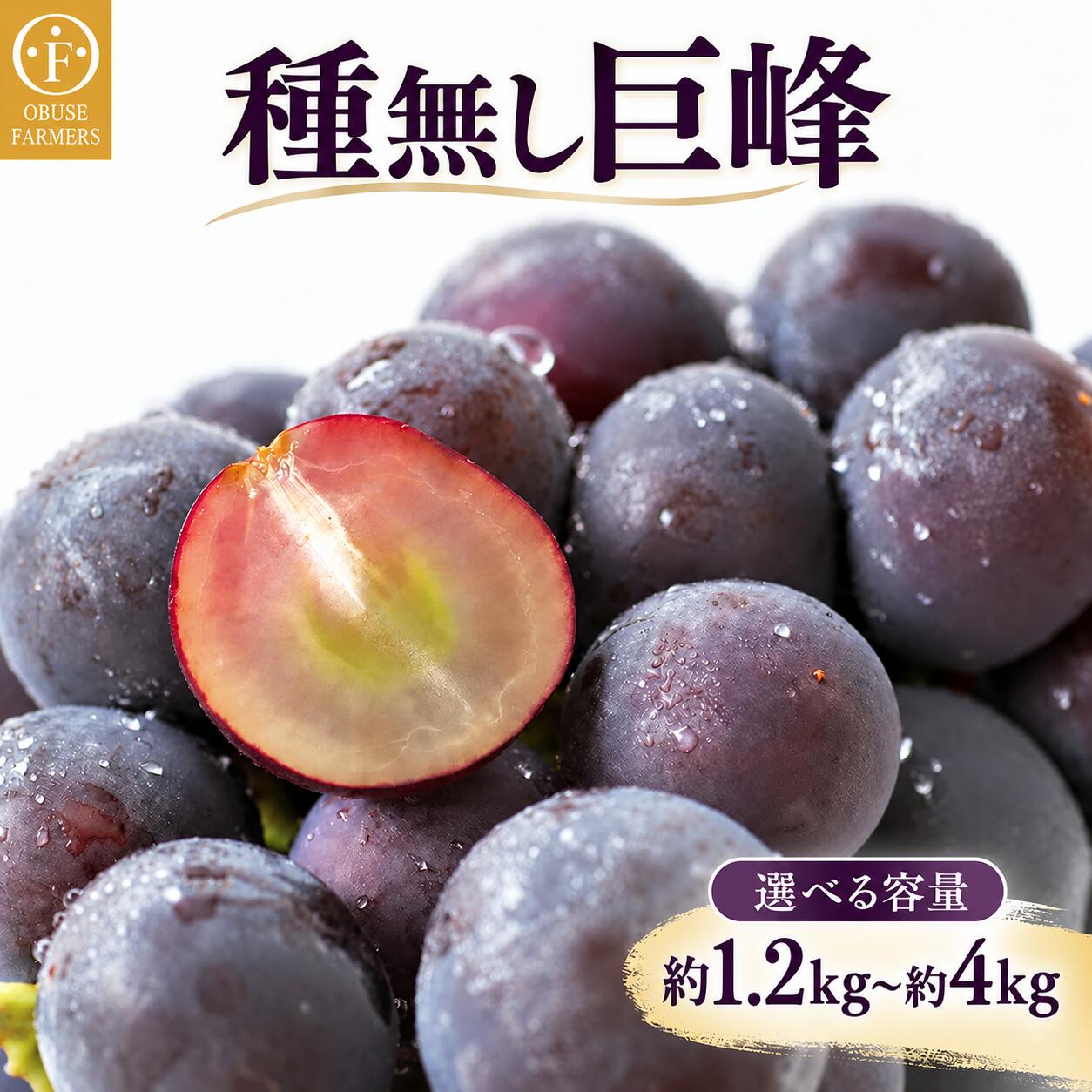 【ふるさと納税】種無し巨峰 選べる内容量 約1.2kg 2～4房 約1.8kg 3～4房 約3kg 5～9房 約4kg 8～12房［おぶせファーマーズ］長野県産 信州産 小布施 ぶどう 冷蔵便 クール便 令和8年産【2026年9月上旬～10月中旬発送】