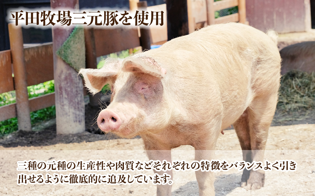 東松山名物　みそだれ餃子・贅沢餃子セット  60個【 餃子 ギョウザ 3種 詰め合わせ 惣菜 東松山 】