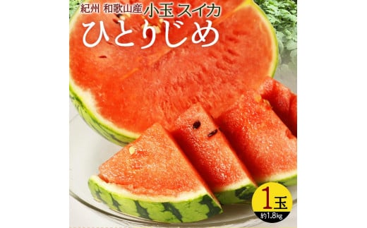 
            紀州和歌山産 小玉スイカ「ひとりじめ」 1玉【2026年6月中旬頃～2026年7月上旬頃に順次発送】【UT85】
          