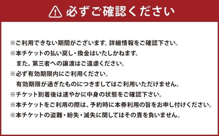 MIZUKI お食事チケット 10000円分 お食事券 食事券 チケット ギフト プレゼント 熊本県 熊本市