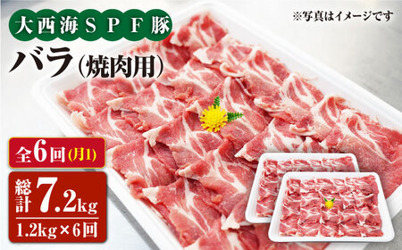 【6回定期便】大西海SPF豚 バラ（焼肉用）計1.2kg＜大西海ファーム [CEK083]