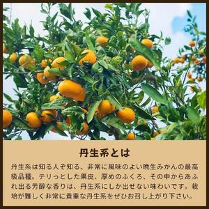 蔵出しみかん丹生系｜和歌山県海南市下津町の特産品蔵出しみかんの最高級品種【2024年2月発送開始】