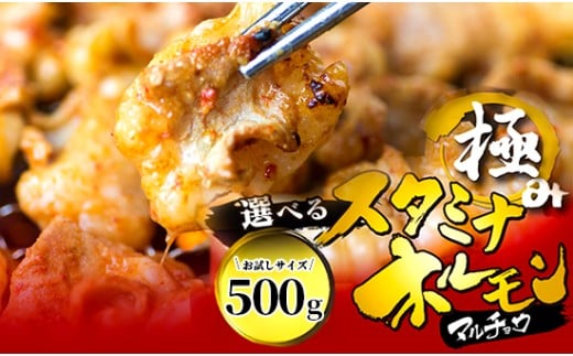 【タレ揉み】 極みの スタミナ ホルモン マルチョウ 500g 250×2袋 小分け タレ付き | ほるもん 牛肉 牛ホルモン モツ 丸腸 まるちょう 焼き肉 BBQ 味付け肉 キャンプ アウトドア 京都 舞鶴