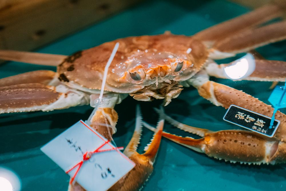 
【先行予約】極上の海の恵みを直送でお届け！ 贅沢な味わいのズワイガニ（1.2〜1.5kg×1杯）（特大）ボイル
