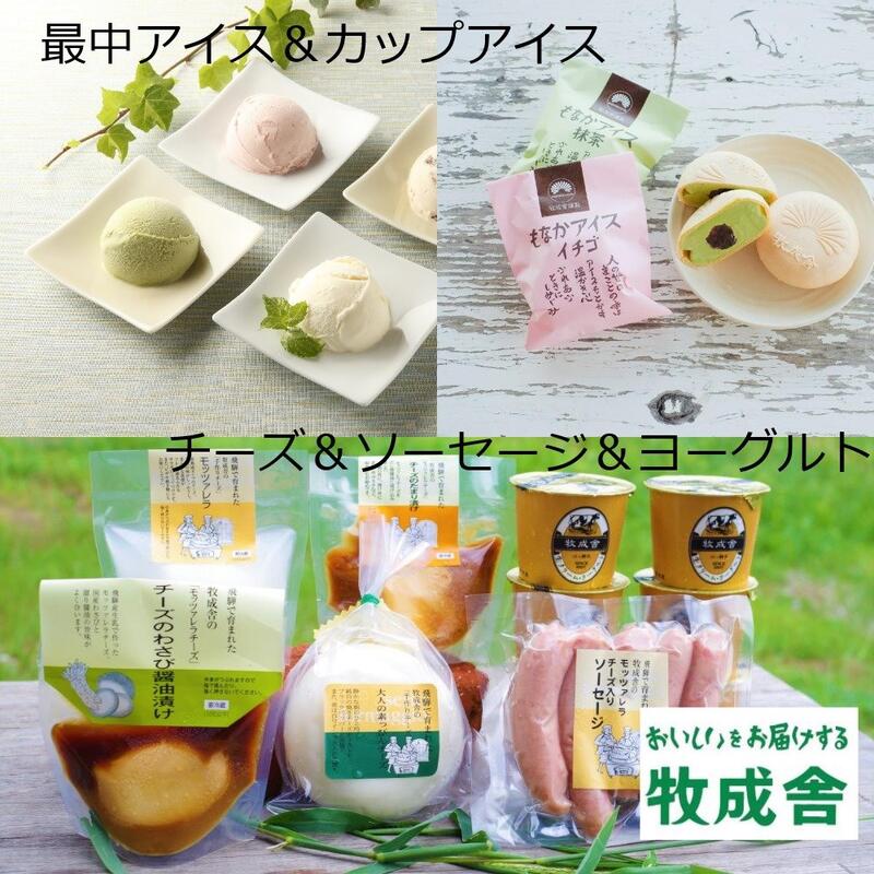 【ふるさと納税】＜牧成舎＞飛騨のアイスクリーム＆チーズ＆ヨーグルトセット[D0001]