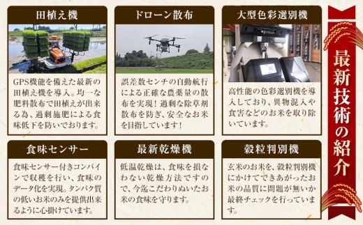 【先行予約受付】≪10月上旬発送≫令和８年産 大田原市 藤田farmのにじのきらめき 【無洗米】 10kg ｜栃木県産 米 お米  コメ にじのきらめき  栃木県 【選べる容量】5kg 10kg  数