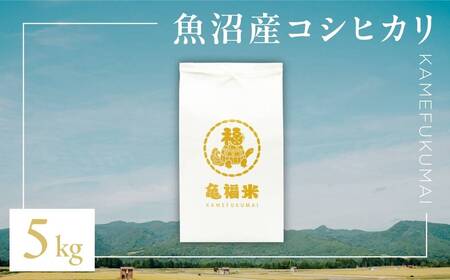 令和7年産 極上 魚沼産コシヒカリ「亀福米」5kg (特別栽培米) 株式会社亀福 |  |津南町 魚沼産コシヒカリ