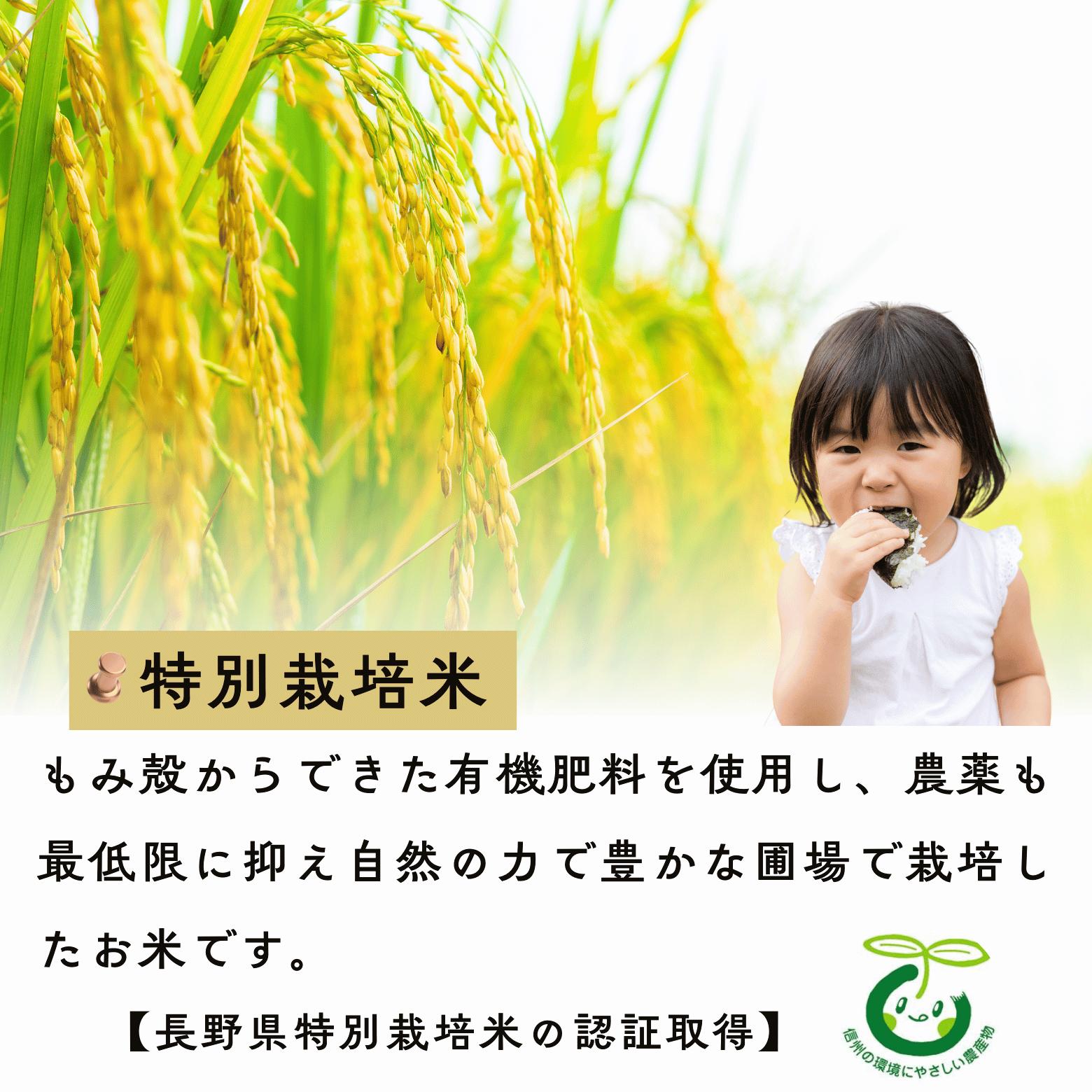  【先行予約】【定期便】<令和７年産新米> 特別栽培米 『奥信濃の棚田米 実の里』 こしひかり 精米 10㎏×3回 (7-26A) 定期便10ｋｇ×3回