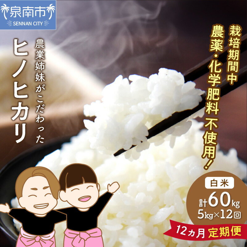 【ふるさと納税】農業姉妹がこだわって栽培！白米5kg 1年定期便 定期便 米 こめ 5キロ ヒノヒカリ