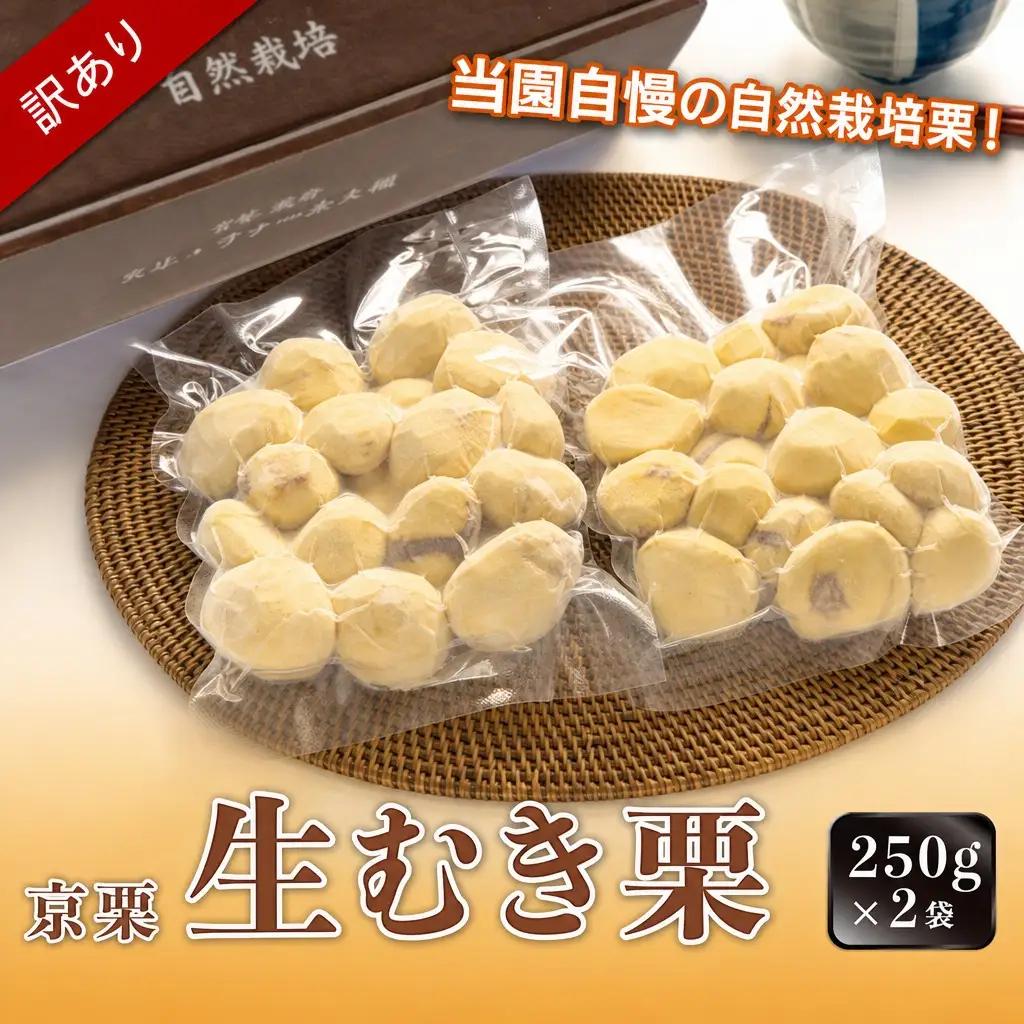 訳あり 栗 500g 生むき栗 12月発送［BSAR012］