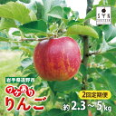 【ふるさと納税】訳あり りんご 【 2回 定期便 】選べる 容量 約 2.3kg 3kg 5kg 11-12月発送 わけあり ワケあり 旬 林檎 リンゴ apple アップル フルーツ 松陽園 樹上 完熟 果物 果実 岩手県 遠野市 産 農家直送 産地直送 応援 キズ 割れ 変形 色ムラ サビ 10月31日受付終了