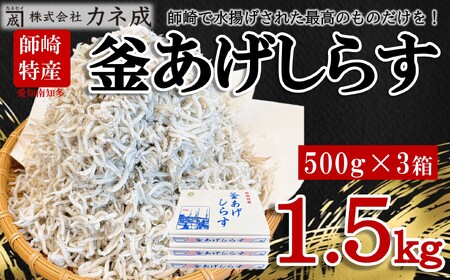 しらす 1.5kg (500g×3箱) 冷凍 小分け 大容量 釜揚げ 惣菜 弁当 便利 ランキング 減塩 無添加 無着色 ご飯 ごはん 丼 料理 国産 カネ成 シラス グルメ 人気 おすすめ 愛知県 南知多町 ( ｼﾗｽ ｼﾗｽ ｼﾗｽ ｼﾗｽ ｼﾗｽ ｼﾗｽ ｼﾗｽ ｼﾗｽ ｼﾗｽ ｼﾗｽ ｼﾗｽ ｼﾗｽ ｼﾗｽ ｼﾗｽ ｼﾗｽ ｼﾗｽ ｼﾗｽ ｼﾗｽ ｼﾗｽ ｼﾗｽ ｼﾗｽ ｼﾗｽ ｼﾗｽ ｼﾗｽ ｼﾗｽ ｼﾗｽ ｼﾗｽ ｼﾗｽ ｼﾗｽ ｼﾗｽ ｼﾗｽ ｼﾗｽ ｼﾗｽ ｼﾗｽ ｼﾗｽ ｼﾗｽ ｼﾗｽ ｼ