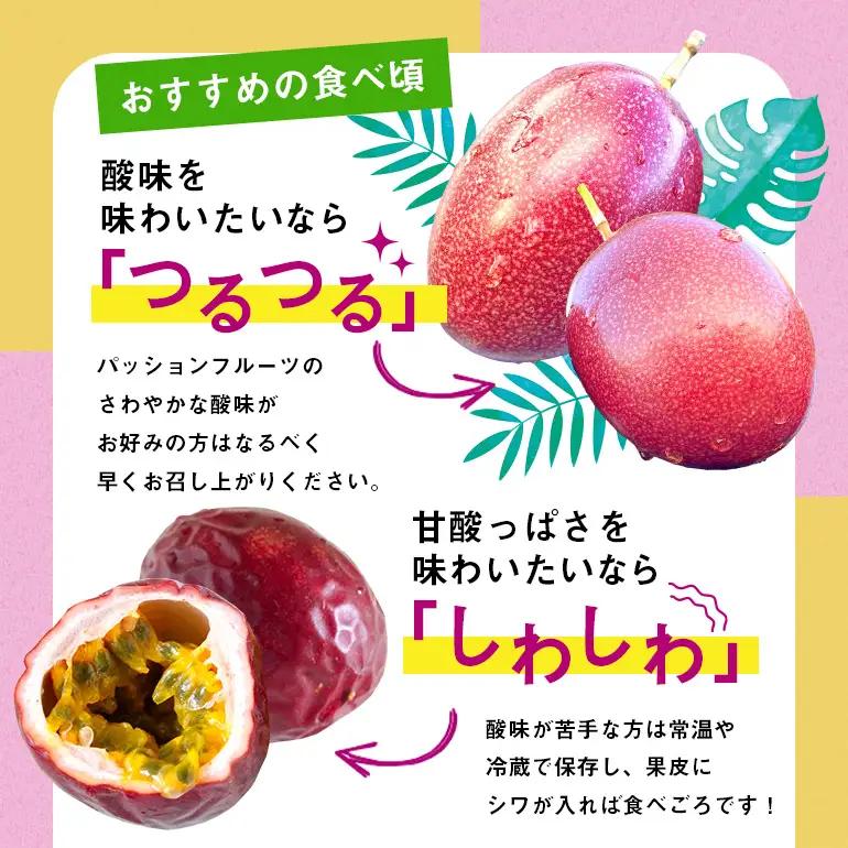 【 2026年 先行予約 】 パッションフルーツ 家庭用 約1kg A194-001-01 フルーツ 果物 南国 デザート 期間限定 限定 自然 美味しい カクテル ヨーグルト サラダ 奄美都農園 ふ