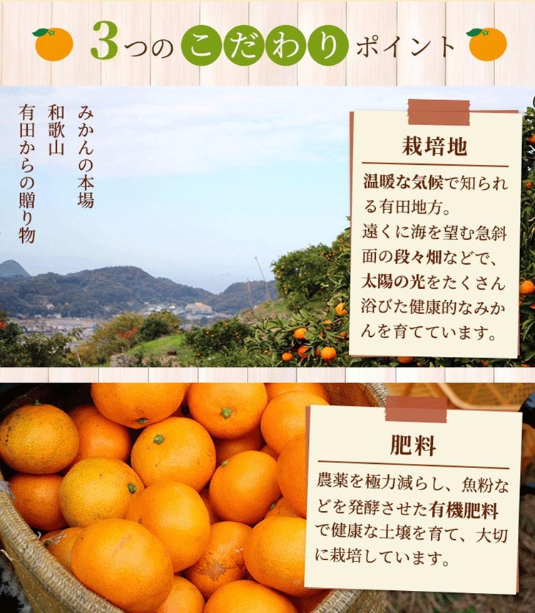 家庭用 完熟 有田みかん10kg+250g（傷み補償分）サイズ混合 