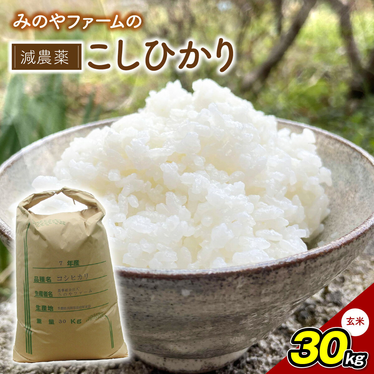 【ふるさと納税】みのやファームの減農薬こしひかり 30kg(玄米)【 コシヒカリ こしひかり おいしい お米 米 こめ 自然栽培 贈り物 ギフト 千葉県 御宿町 人気 おすすめ ランキング 】 ONJF013