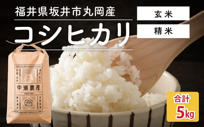 
            【先行予約】【令和7年産・新米】 福井県坂井市丸岡町産 コシヒカリ 計5kg（精米方法選べます）【2025年10月より順次発送予定】【お米 こしひかり 玄米 白米 5キロ ブランド米 ふるさと納税米 産地直送】 [A-11304]
          