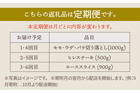 【肉のプロが厳選！】【全6回】佐賀県産和牛 極上定期便【株式会社いろは精肉店】 [IAG072]
