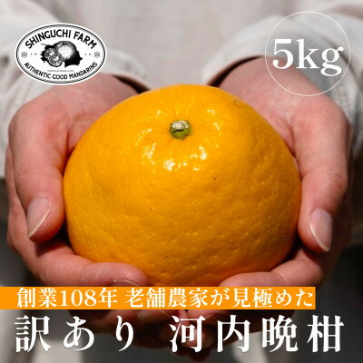 【ふるさと納税】愛媛みかんの老舗【河内晩柑 訳あり 5kg】新口農園【C70-87】【1635557】