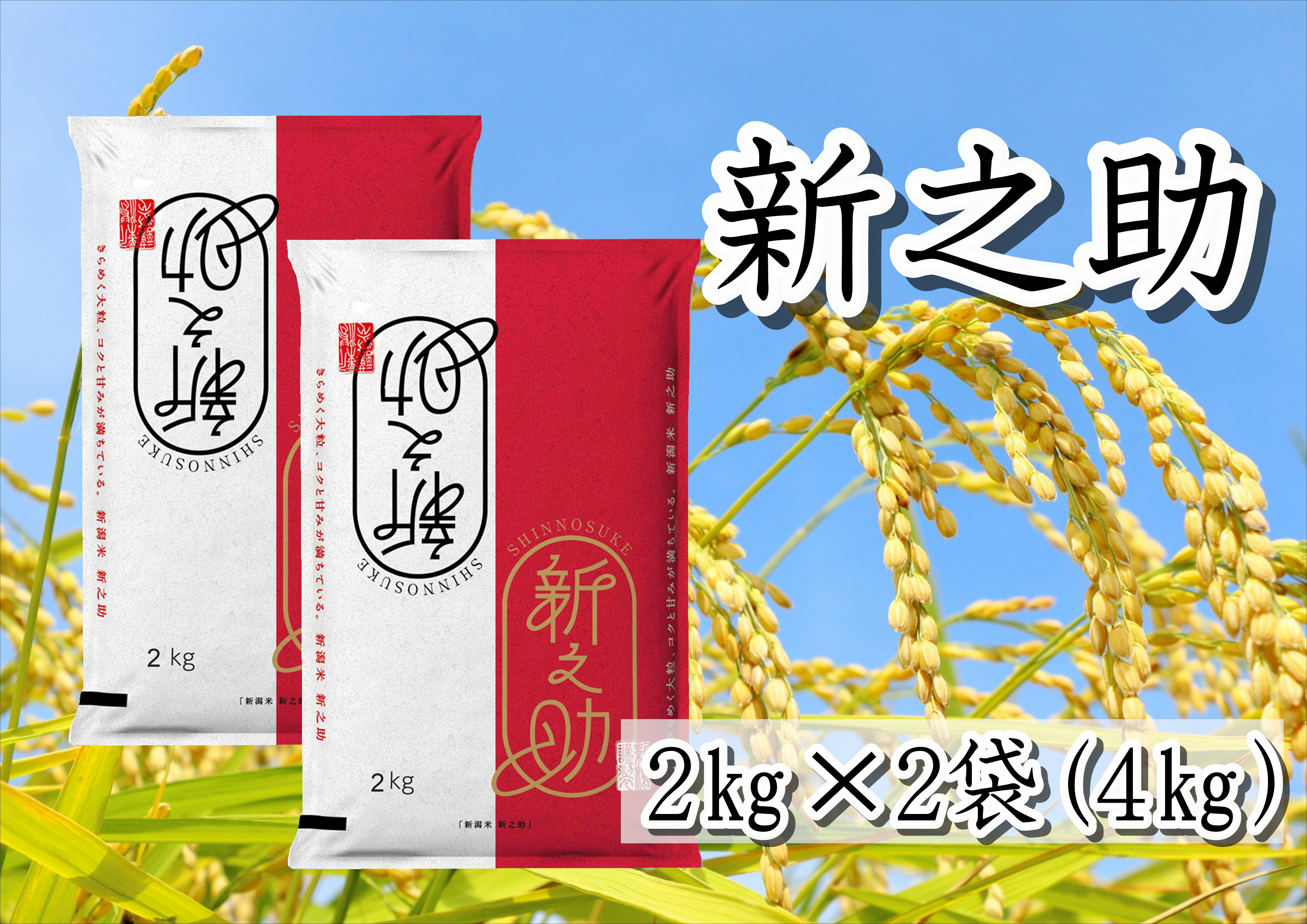 
                  【令和8年産新米予約】 新之助 4kg (2kg×2袋) 白米 精米 井上米穀店 新潟県 米 こめ コメ  新米 新米予約 令和8年度産 11月上旬より順次発送予定 1I15010
                