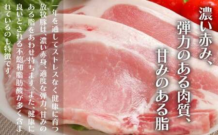 【訳あり・在庫過多】厚真希望農場で育った放牧豚の無添加 ボロニア厚切りスライスソーセージ130g（3枚入）×10セット 《厚真町》【ファーマーズファクトリー株式会社】訳アリ 加工品 無添加  おつまみ