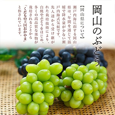 【2025年発送】岡山県産　瀬戸ジャイアンツ2房　(1房480g以上)合計約1kg　化粧箱入り【配送不可地域：離島・北海道・沖縄県】