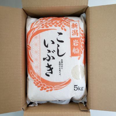 ふるさと納税 村上市 新米【令和7年産米】こしいぶき 白米5kg(5kg×1) 新潟県村上市岩船産　1067101 |  | 01