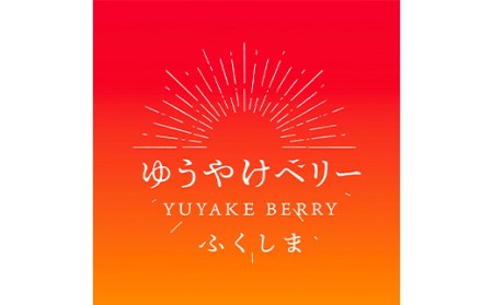 ＜限定＞新品種のいちご 福島県 オリジナル品種「ゆうやけベリー」約1kg（250g×4パック）イチゴ 苺 フルーツ 果物 伊達市 F20C-678