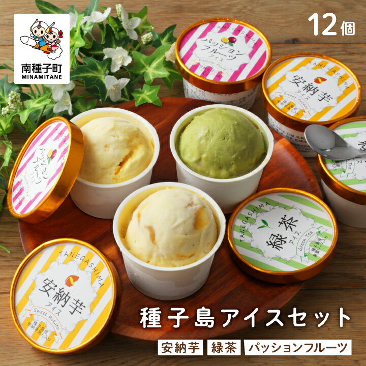 【ふるさと納税】 種子島 アイス セット 12個 乳化剤・安定剤不使用 アイス スイーツ おやつ お菓子 食品 グルメ お取り寄せ おすそわけ 人気 おすすめ ギフト 返礼品 南種子町 鹿児島 かごしま 【有限会社新栄物産】